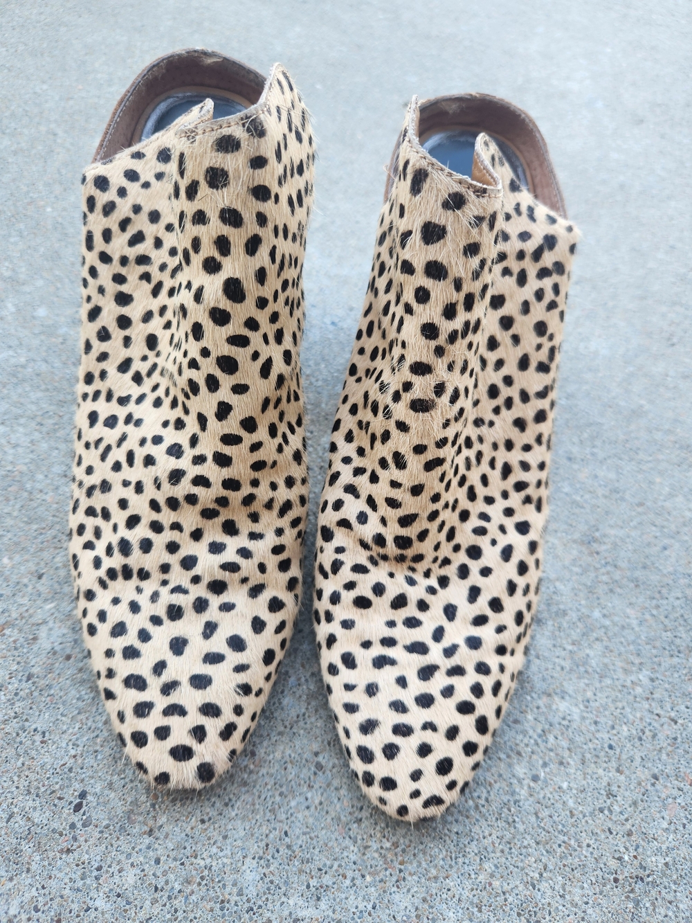 Dolce Vita Leopard Print Pointed Mules "4" heel - Tan & Black Leopard Print